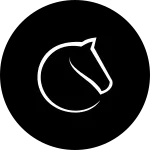 Lichess SVG Icon